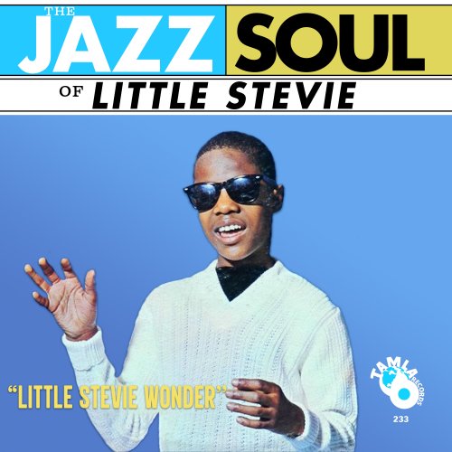 A propos de Wonder Stevie