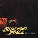A propos de Shadows Fall