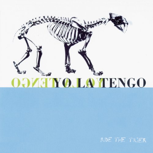 A propos de Yo La Tengo