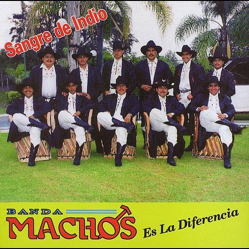 A propos de Machos Banda Machos