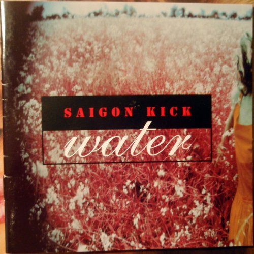 A propos de Saigon Kick