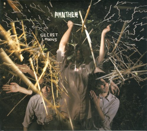 A propos de panther