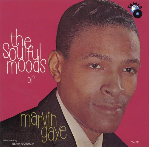 A propos de Gaye Marvin
