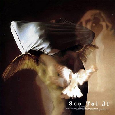 A propos de Seo Tae Ji