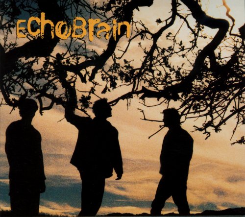 A propos de Echobrain