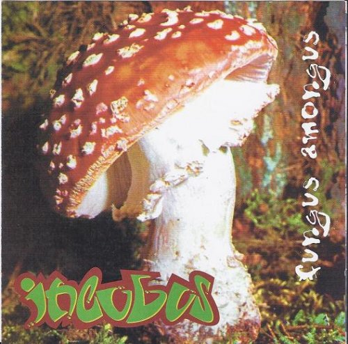 A propos de Incubus
