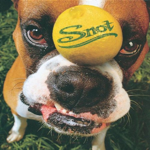 A propos de Snot