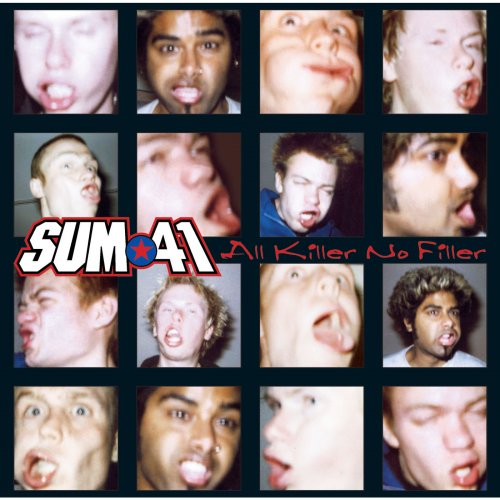 A propos de Sum 41
