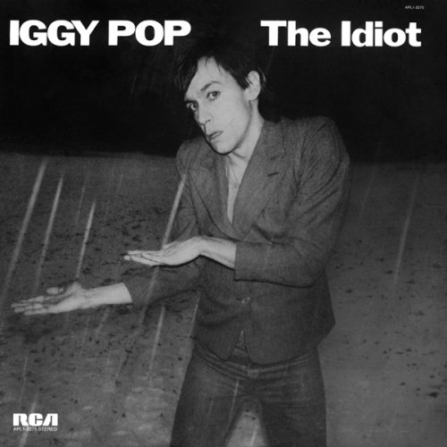 A propos de Iggy Pop