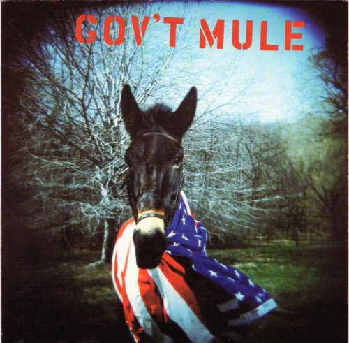 A propos de Government Mule