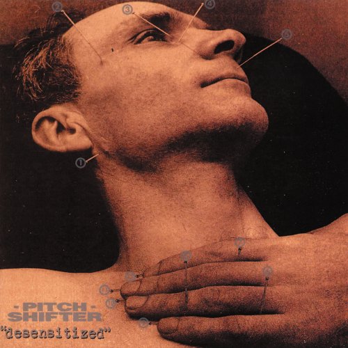 A propos de Pitchshifter