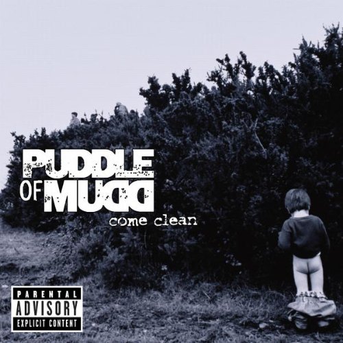 A propos de Puddle of Mudd